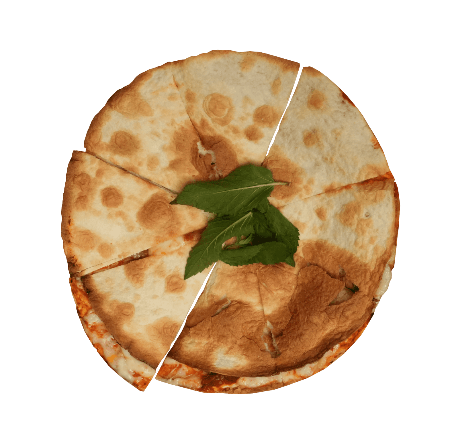 صفيحة ببروني